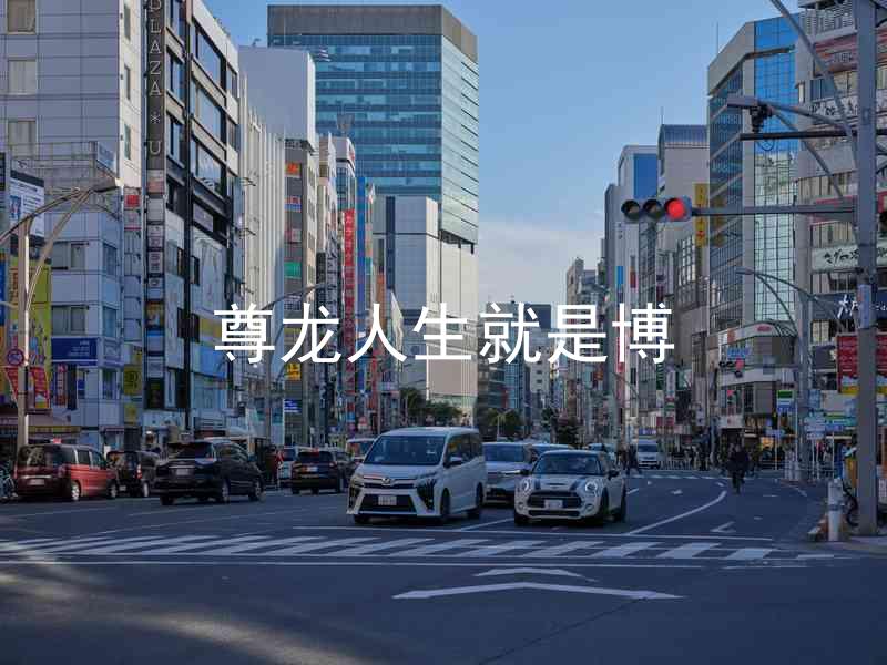 尊龙人生就是博