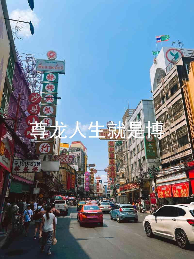 尊龙人生就是博