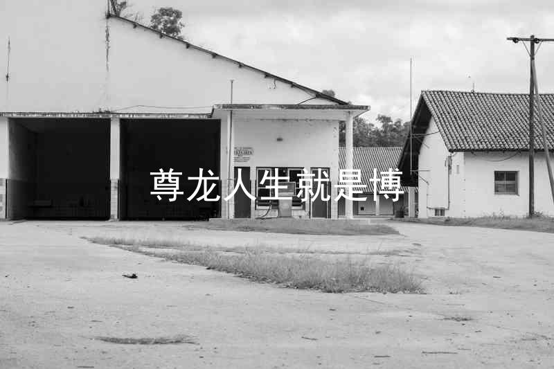 尊龙人生就是博