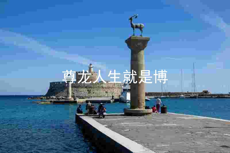 尊龙人生就是博