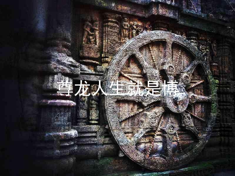 尊龙人生就是博