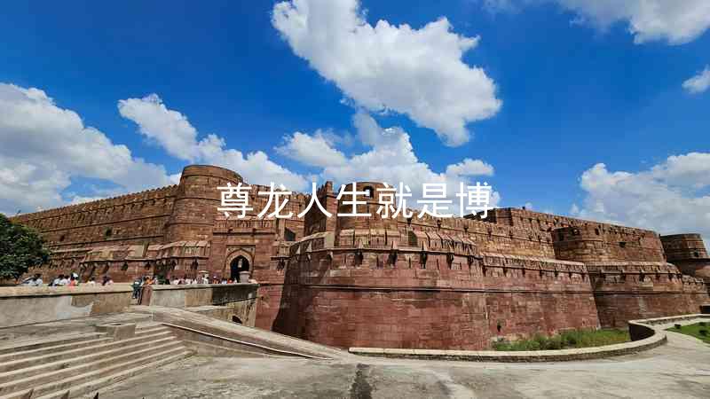 尊龙人生就是博